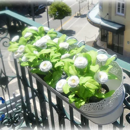 شقة Dragon House By Jc