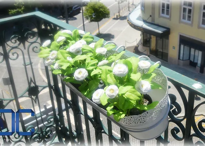 Lejlighed Dragon House By Jc